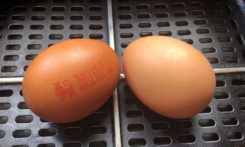 Eggs in the shell inside air fryer basket